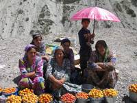 Apricot sellers by the roadside